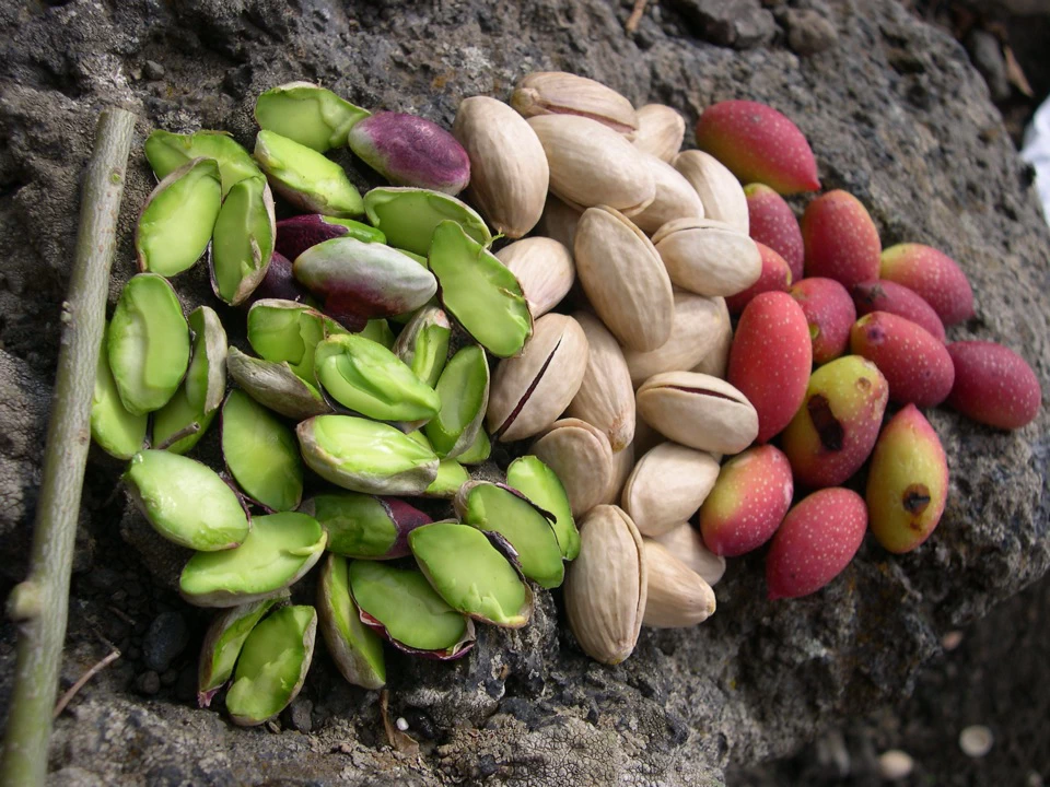 Pistachios