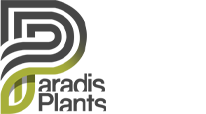 Paradis Plants Logo